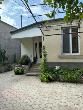 Mango guest house